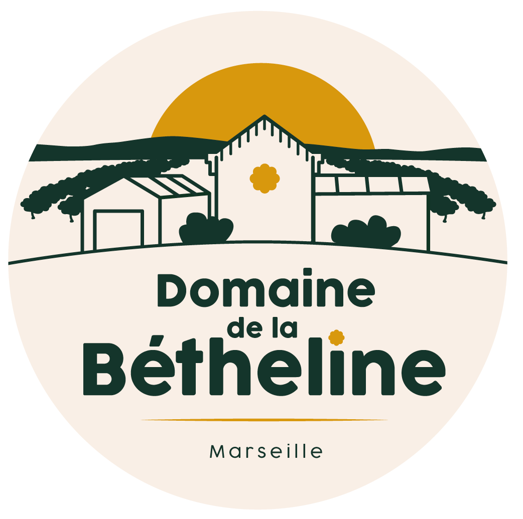 Logo-Domaine-Bétheline