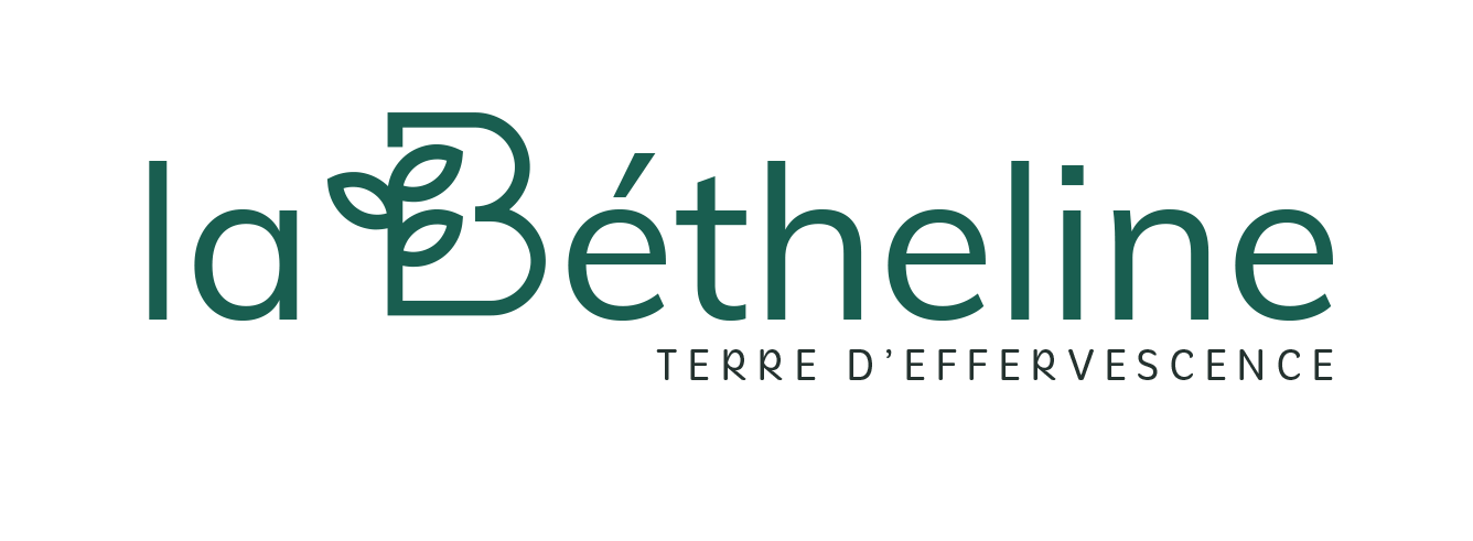 Logo-Domaine-Bétheline